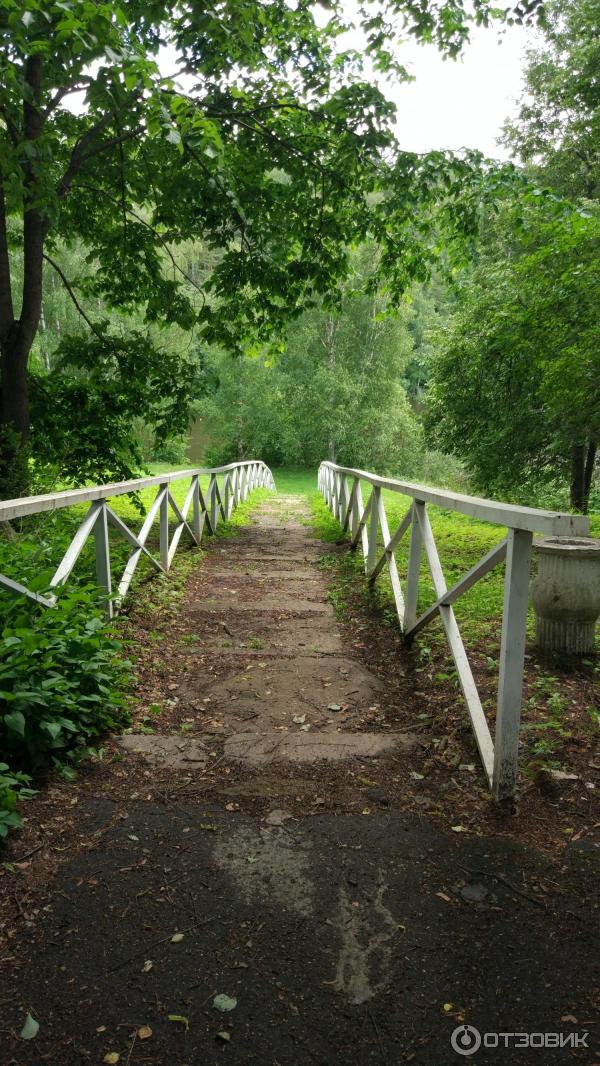 Академическая дача имени И. Е. Репина (Россия, Вышний Волочек) фото