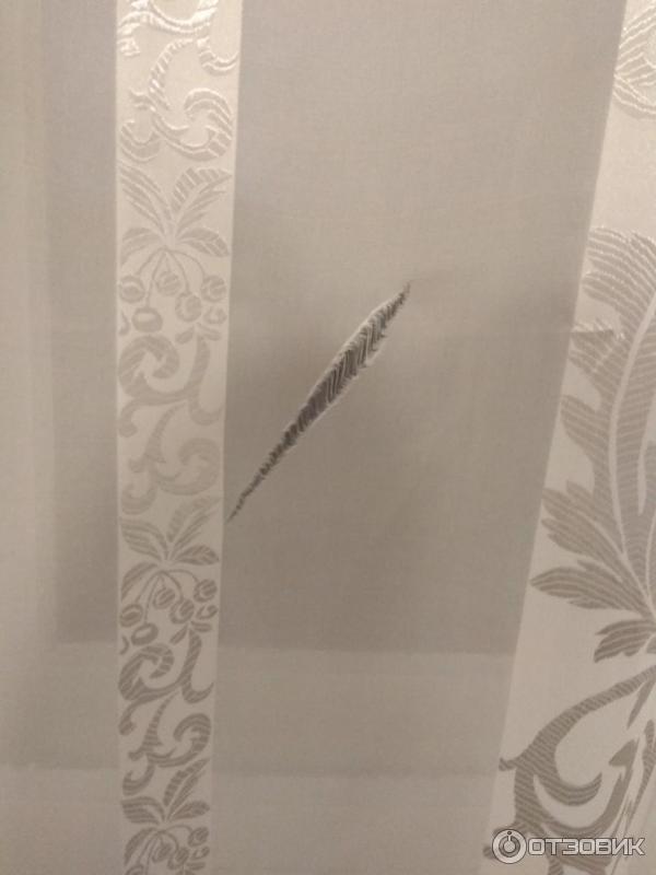 Санаторий Красноярское загорье (Россия, Кожаны) фото