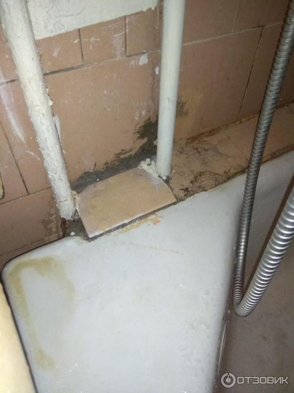 Санаторий Красноярское загорье (Россия, Кожаны) фото