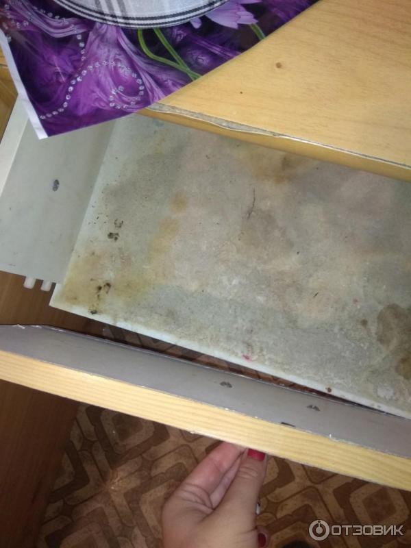 Санаторий Красноярское загорье (Россия, Кожаны) фото