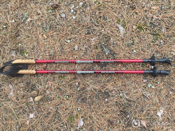 Палки для скандинавской ходьбы Outventure Nordic Walking Poles фото