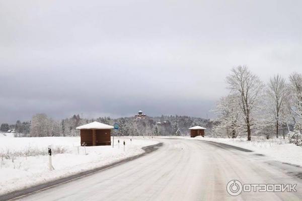 За лесом виднеется монастырь