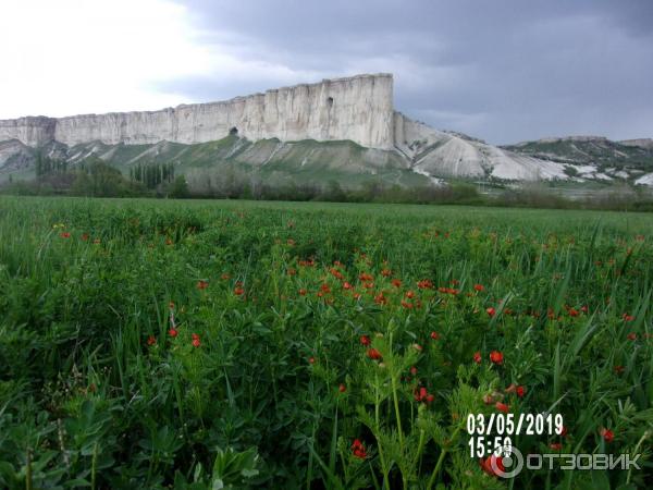 Скифское городище Вишенное (Россия, Белогорск) фото