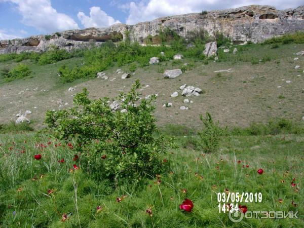 Скифское городище Вишенное (Россия, Белогорск) фото