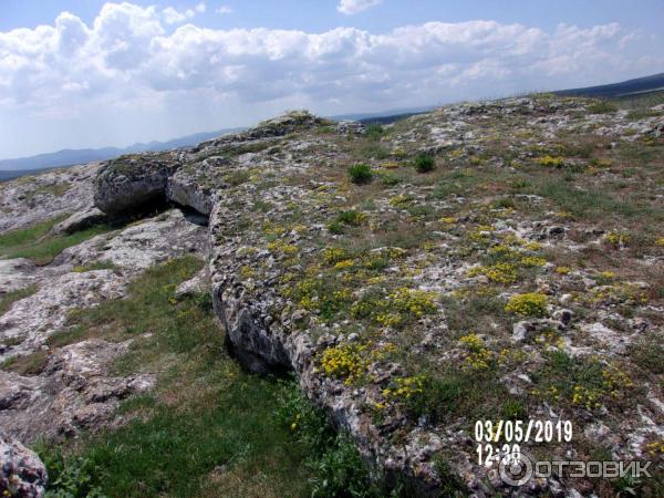 Скифское городище Вишенное (Россия, Белогорск) фото