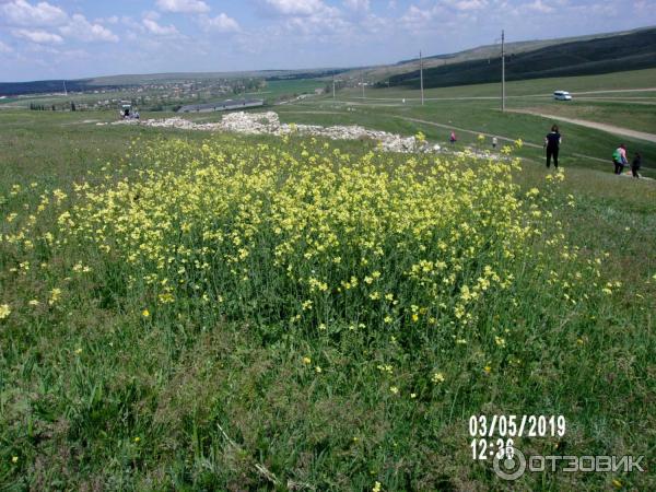 Скифское городище Вишенное (Россия, Белогорск) фото