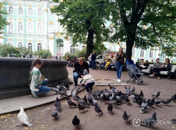 Отдых в Санкт-Петербурге (Россия) фото