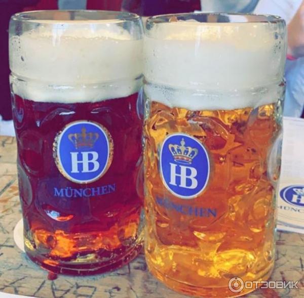 Пивная Hofbraeuhaus (Германия, Мюнхен) фото