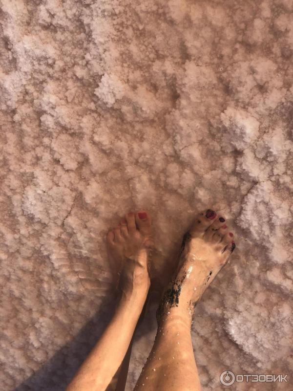 Экскурсия на Кояшское озеро (Крым) фото