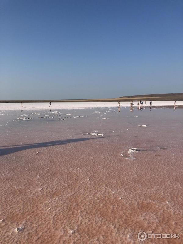 Кояшское озеро