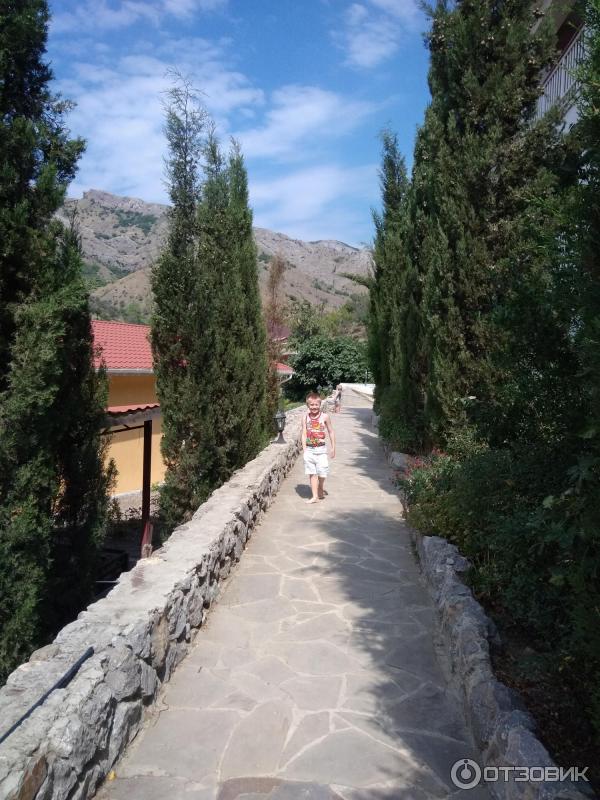 Гостиница Арпат (Крым, с. Зеленогорье) фото