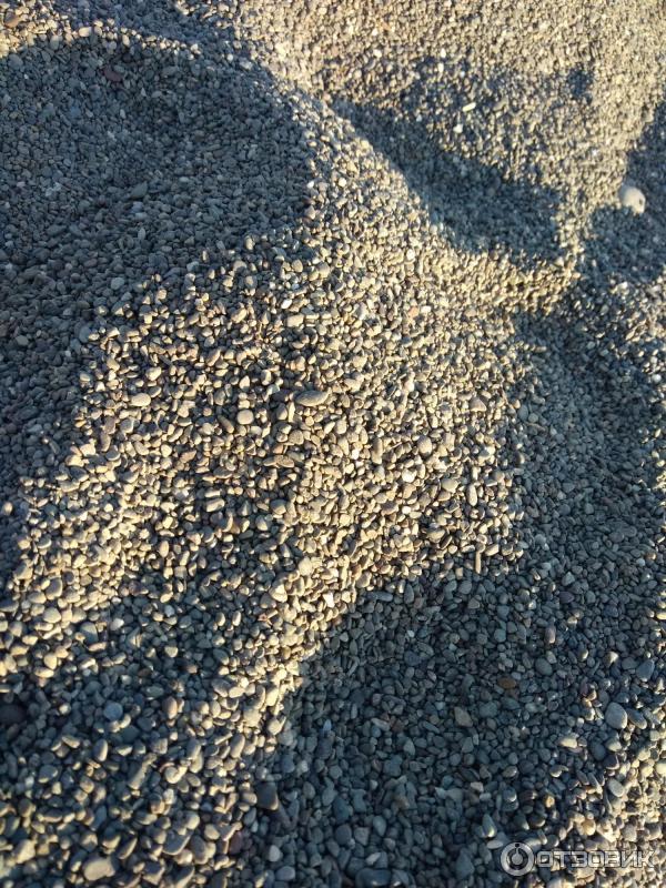 Гостиница Арпат (Крым, с. Зеленогорье) фото