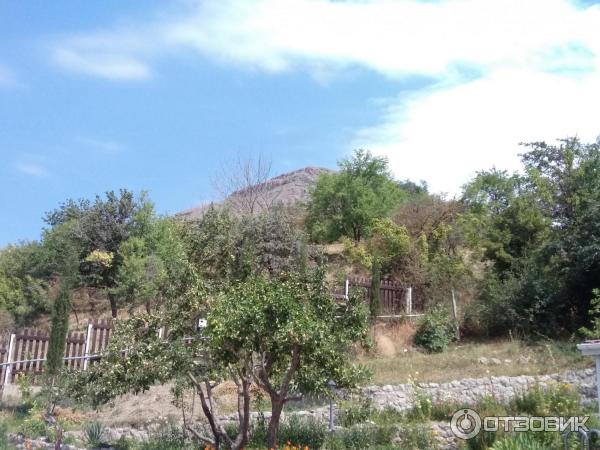 Гостиница Арпат (Крым, с. Зеленогорье) фото