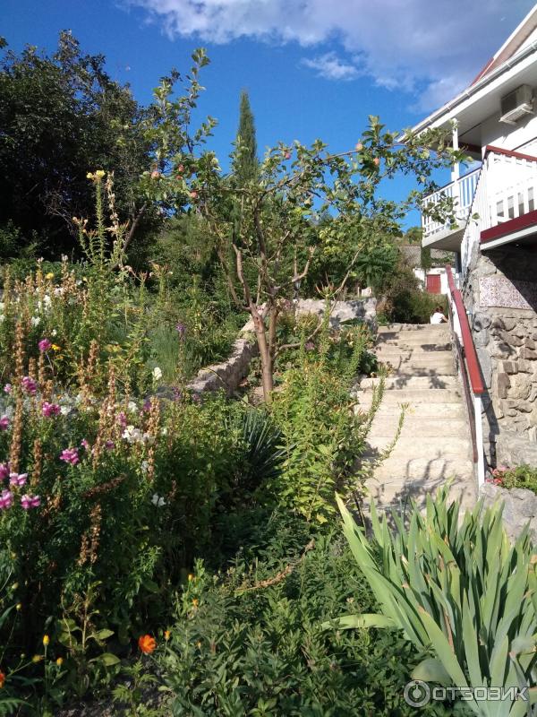 Гостиница Арпат (Крым, с. Зеленогорье) фото