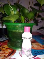 Удобрение Фитоспорин-М для цветов и комнатных растений фото