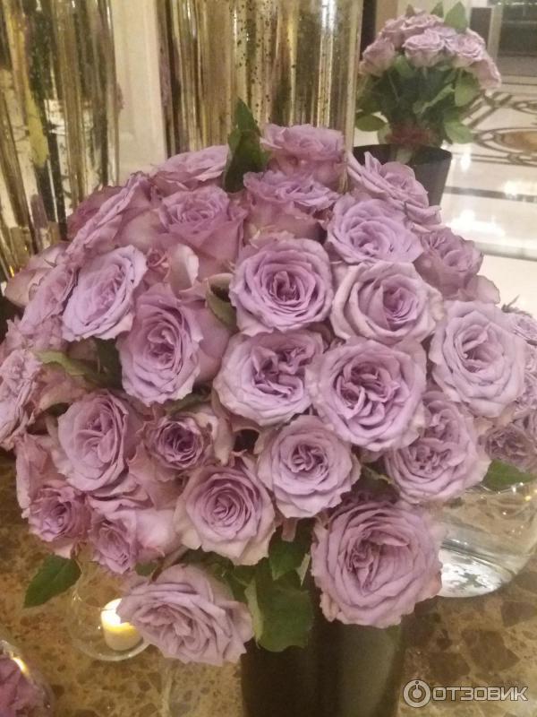 Отель Ritz Carlton (Турция, Стамбул) фото