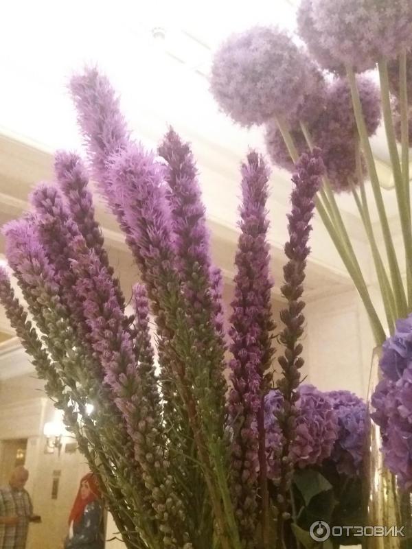 Отель Ritz Carlton (Турция, Стамбул) фото