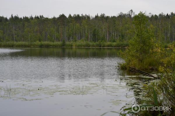 Усадьба Заключье (Россия, Тверская область) фото