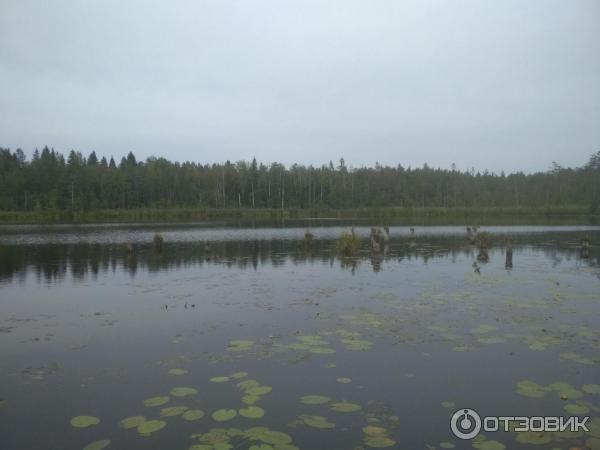 Усадьба Заключье (Россия, Тверская область) фото