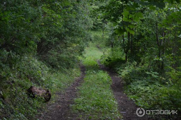 Усадьба Заключье (Россия, Тверская область) фото