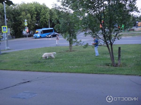 Парк Лесная сказка (Россия, Москва) фото