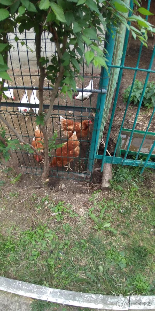 Экскурсия в хвалынский национальный парк (Россия, Хвалынск) фото