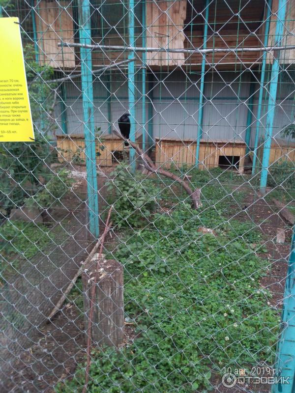 Экскурсия в хвалынский национальный парк (Россия, Хвалынск) фото