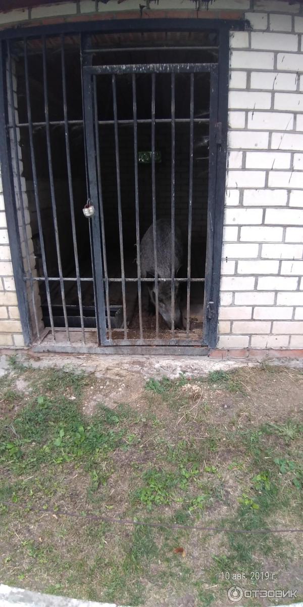 Экскурсия в хвалынский национальный парк (Россия, Хвалынск) фото