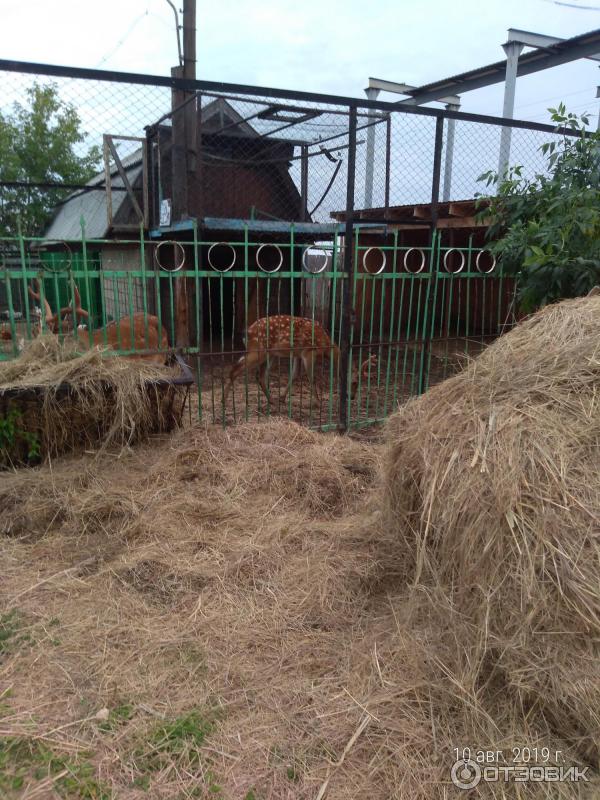 Экскурсия в хвалынский национальный парк (Россия, Хвалынск) фото