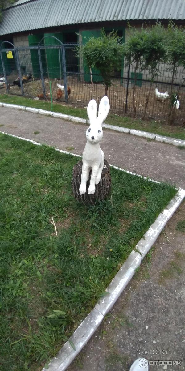 Экскурсия в хвалынский национальный парк (Россия, Хвалынск) фото