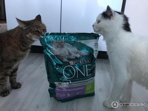 Корм для кошек Purina One Для кошек с чувствительным пищеварением фото