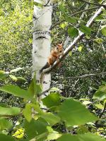 Военный санаторий "Волга" (Россия, Самара) фото