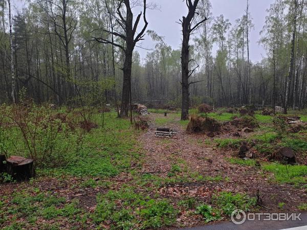 Национальный парк Лосиный Остров (Россия, Москва) фото