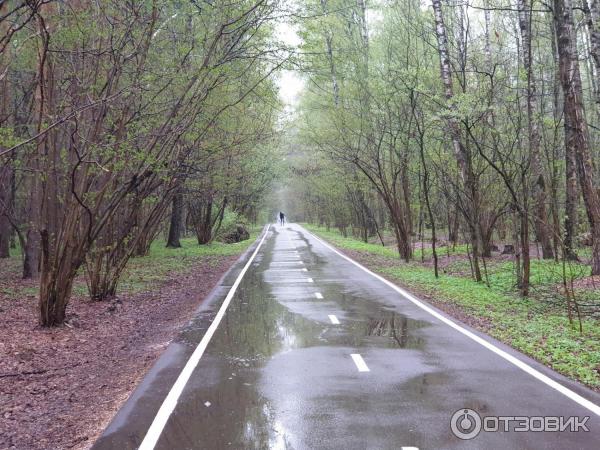 Национальный парк Лосиный Остров (Россия, Москва) фото