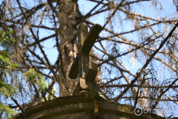 Усадьба инженера Токарского Заветное (Россия, Новгородская область) фото