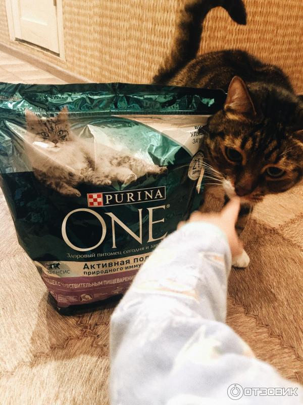 Корм для кошек Purina One Для кошек с чувствительным пищеварением фото