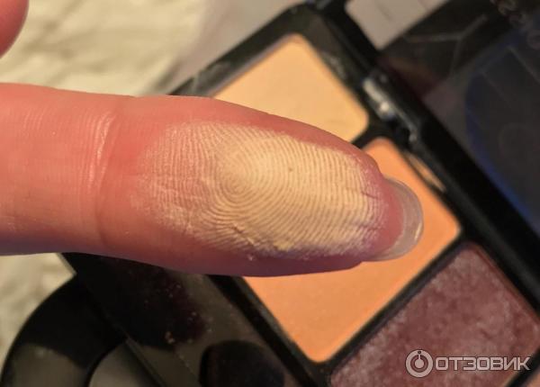 Палетка теней для век Eveline Eyeshadow Professional Palette фото