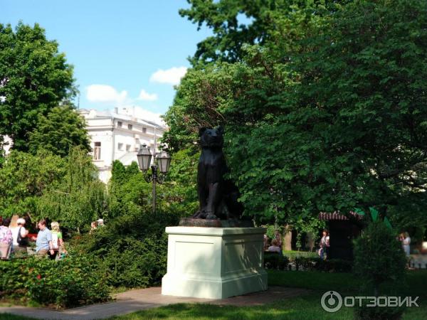 памятники в Одессе фото горсад памятник львице