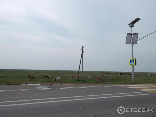 Трасса Владивосток - Иркутск фото