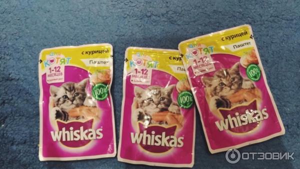 Корм для котят Whiskas Паштет с курицей фото