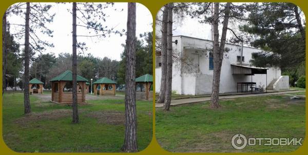 Санаторий Юность (Россия, Анапа) фото