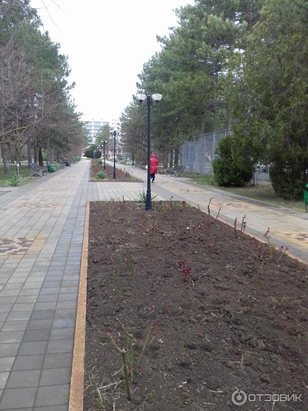 Санаторий Юность (Россия, Анапа) фото