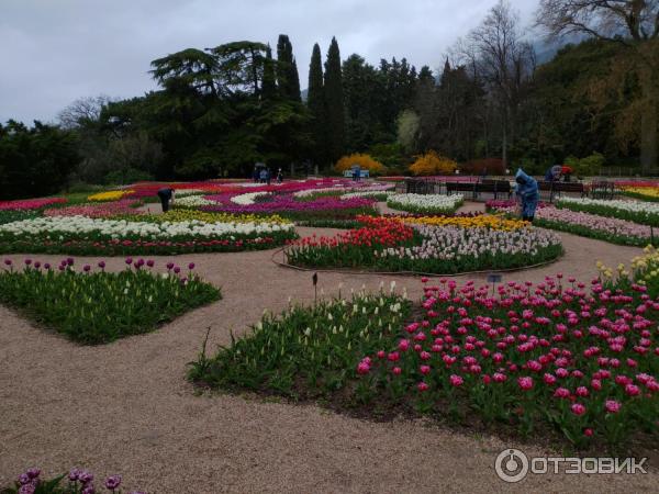 Выставка тюльпанов в Никитском Ботаническом саду (Крым, Ялта) фото