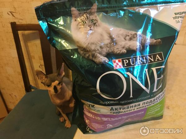 Корм для кошек Purina One Для кошек с чувствительным пищеварением фото