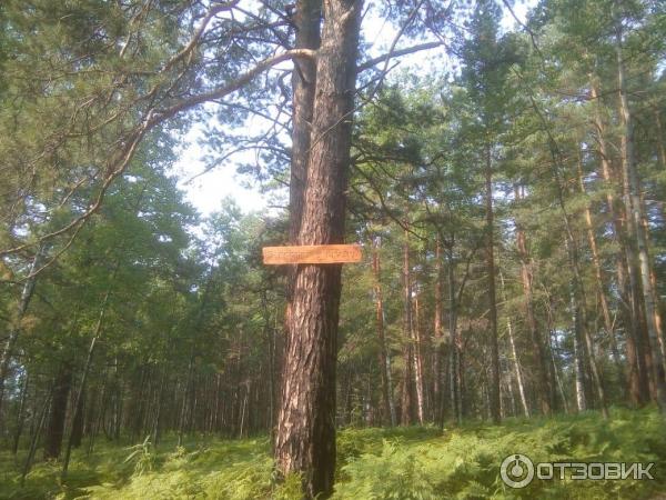 Пещера Караульная (Россия, Красноярск) фото