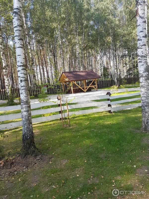 Развлекательный комплекс В некотором царстве (Россия, Рязань) фото