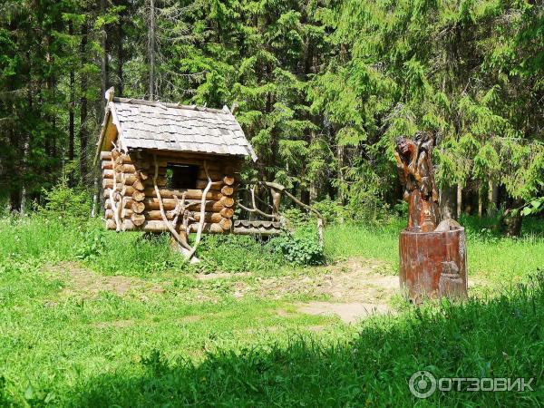 Дендрологический парк (Россия, Переславль-Залесский) фото