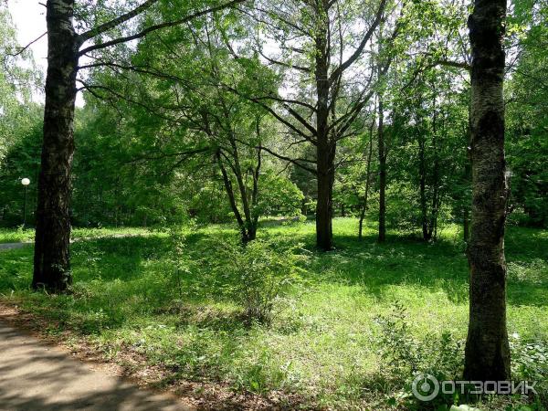 Дендрологический парк (Россия, Переславль-Залесский) фото