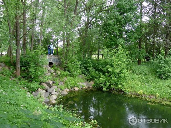 Дендрологический парк (Россия, Переславль-Залесский) фото