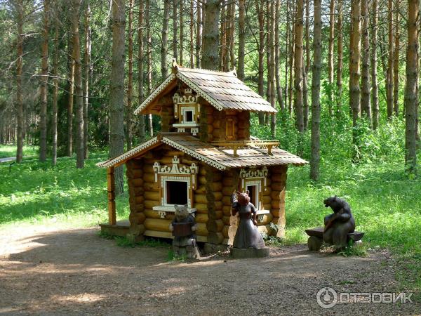 Дендрологический парк (Россия, Переславль-Залесский) фото